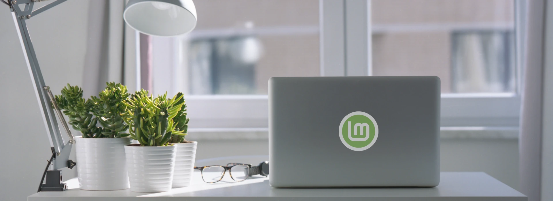 usare linux mint per lavoro