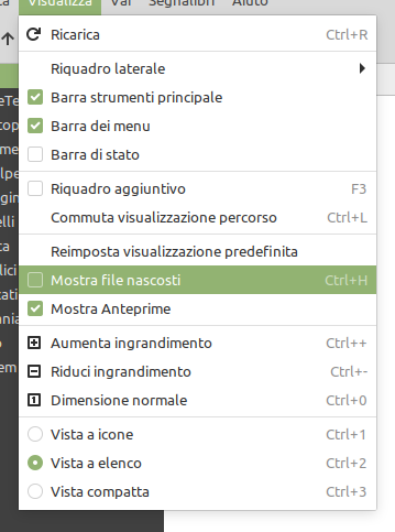 Mostra file nascosti in Nemo in Linux Mint