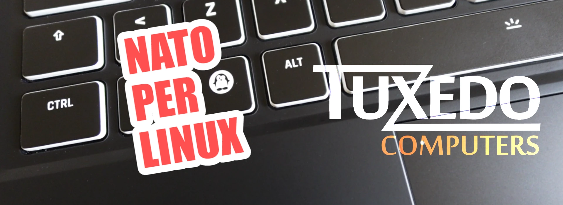 Recensione Tuxedo Stellaris: notebook stellare con recensione Linux preinstallato